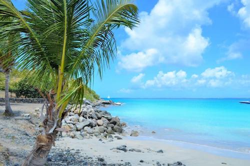 west_indies_paradise_caribbean_coconut_sun_caribbean_sea_sky_beach-625060.jpgd_-1024x680-2-2
